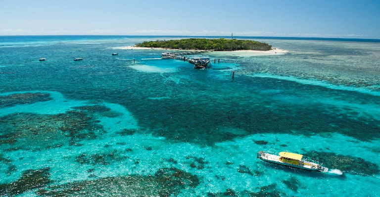 Big Cat Green Island