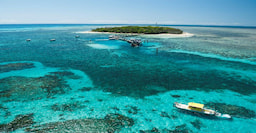 Big Cat Green Island