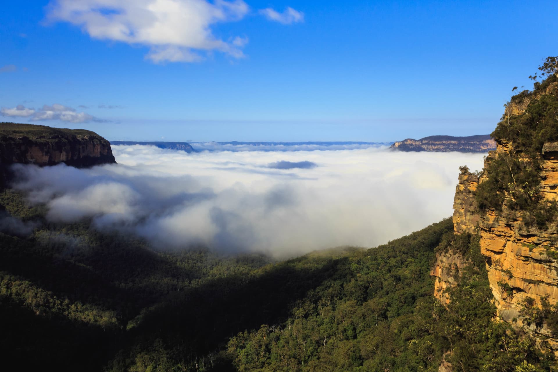Blue Mountains