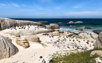 Boulders Beach