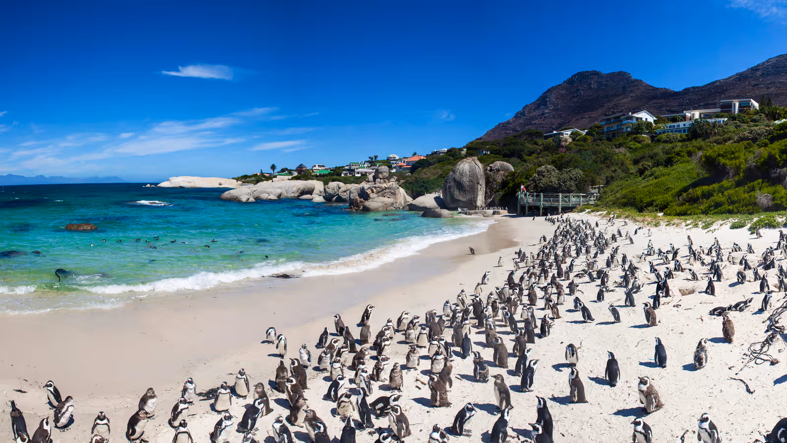 Boulders Beach