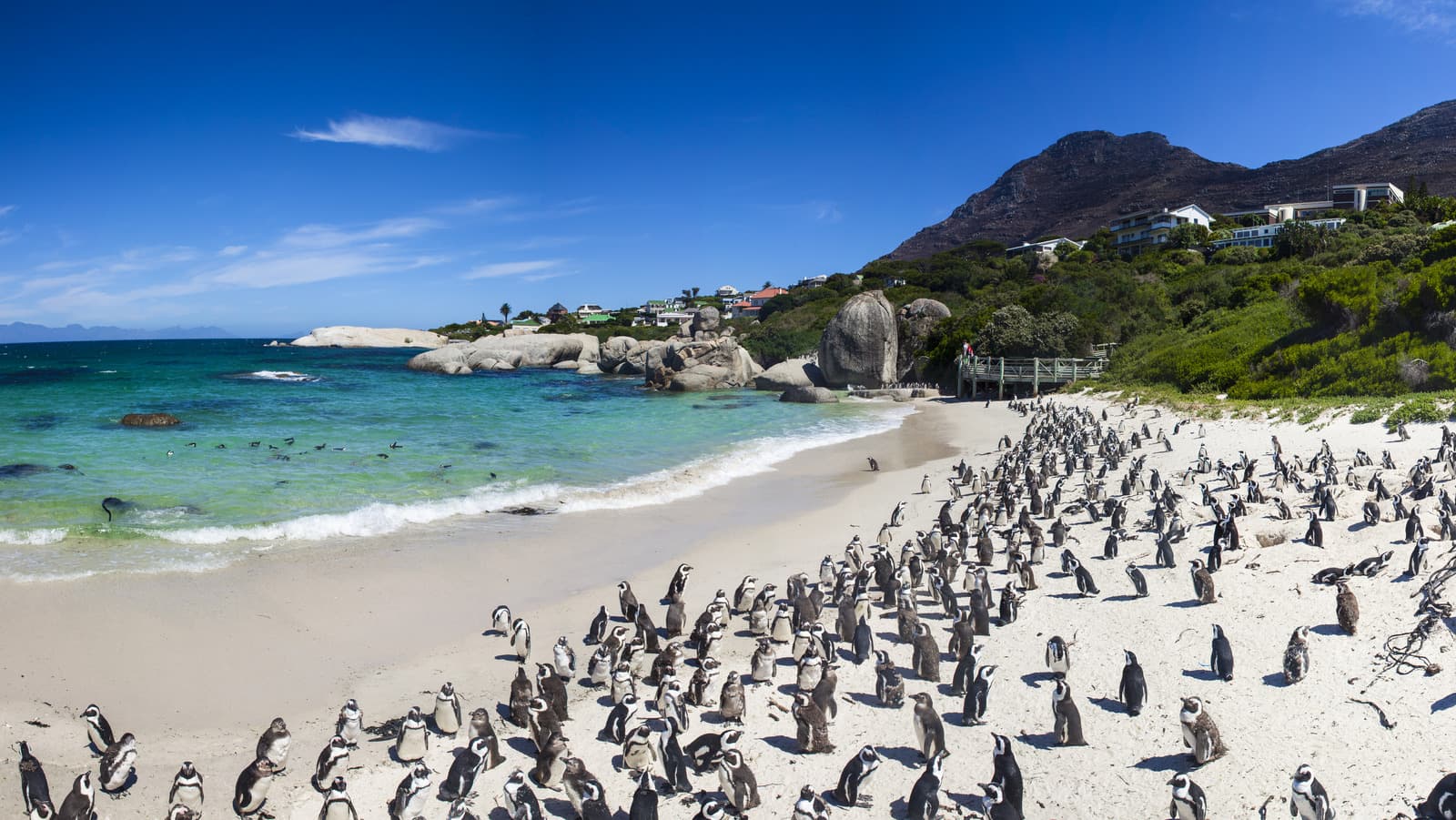 Boulders Beach