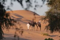 Camel Ride