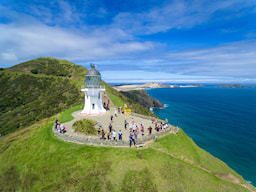 Cape Reinga and Ninety Mile Beach Tour