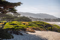 Carmel