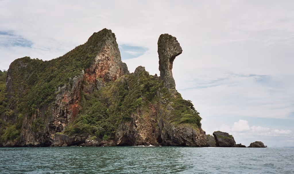 Chicken island
