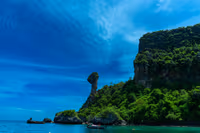 Chicken island