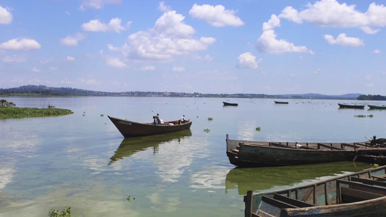 Chilika lake