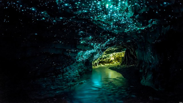 city visit waitomo glowworm caves 2
