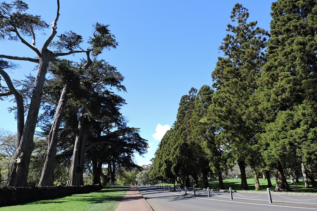 Cornwall Park