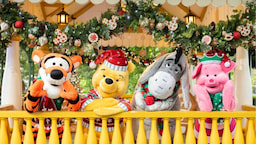 01 Day Hongkong Disneyland Entrance