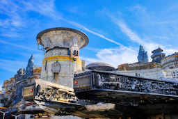 Disneyland Resort Ticket