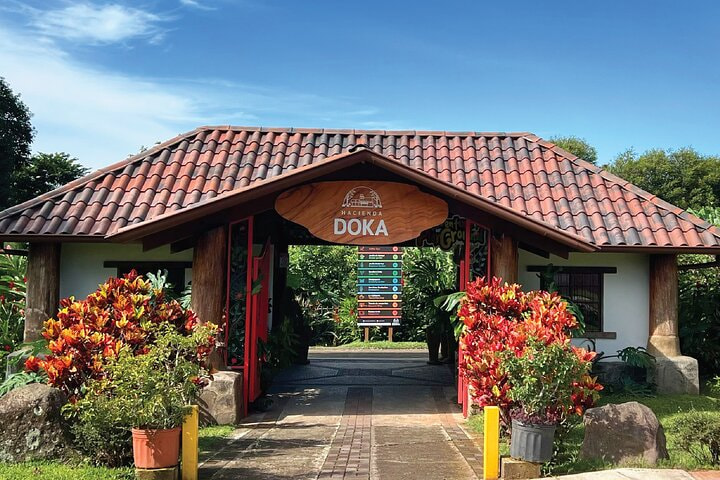 Costa Rica Doka Estate Coffee Tour And Plantation