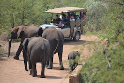 Pilanesberg National Park