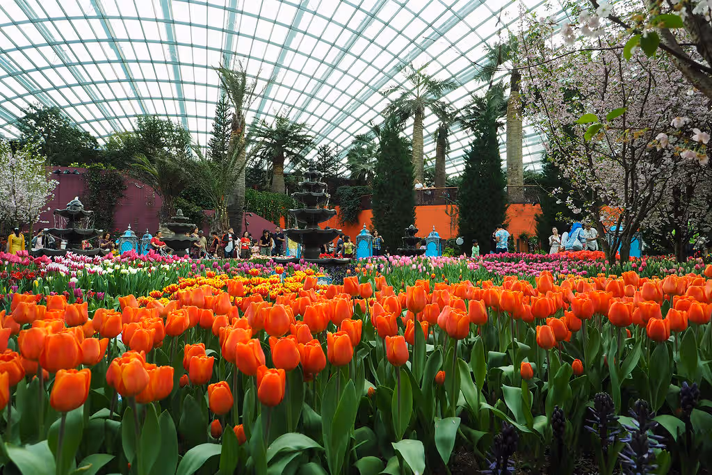 Flower Dome
