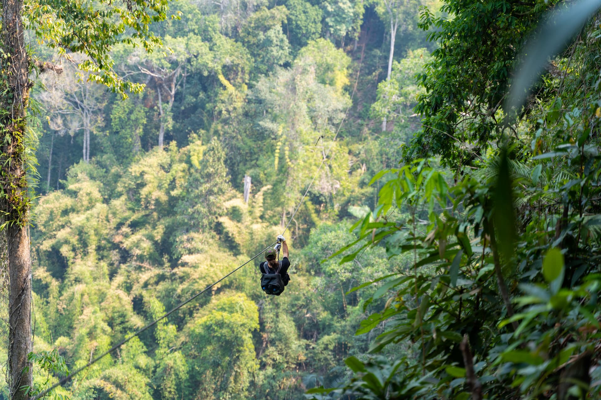 Flying Fox 1
