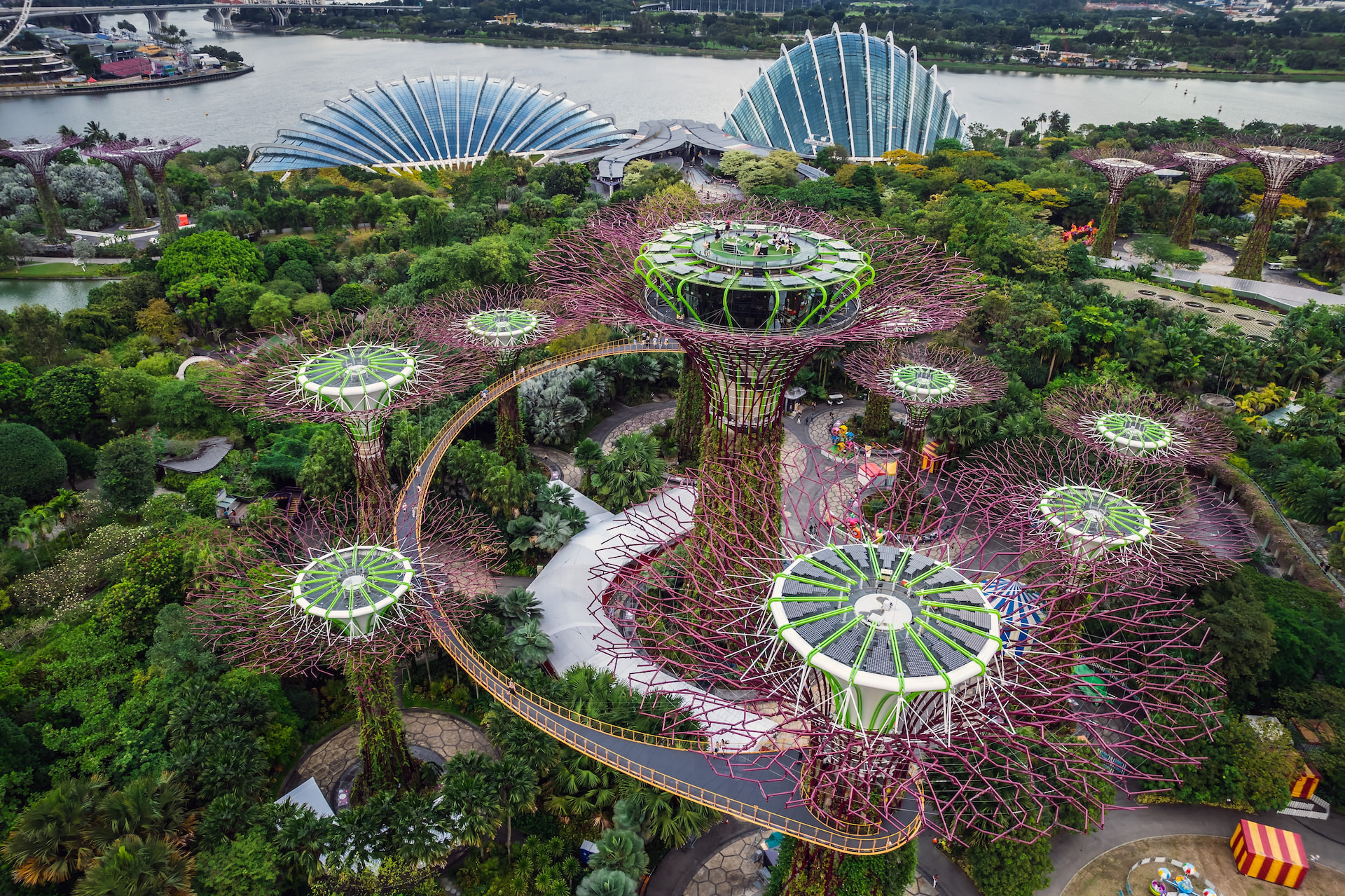 Gardens By the Bay (Super Tree) 1