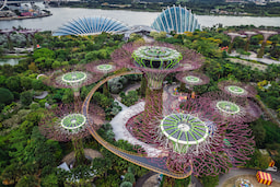 Gardens By the Bay (Super Tree) 1