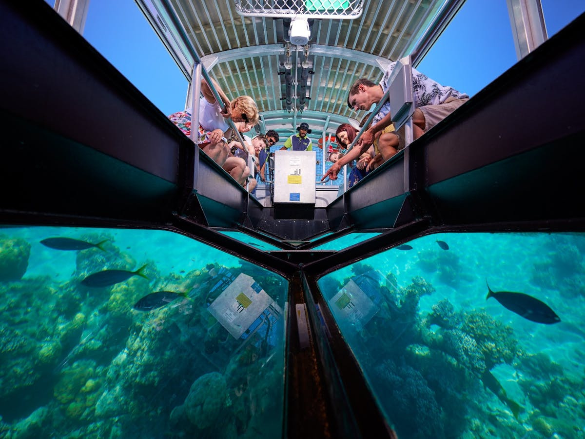 Glass Bottom Boat