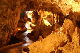 Waitomo Glowworm Caves