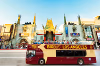 Hop – on Hop-off City Tour of Los Angeles