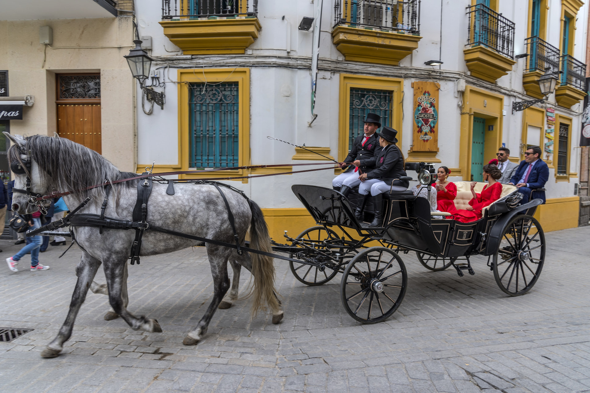 Horse Carriage Ride