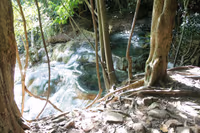 Hotspring Waterfall