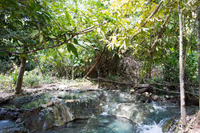 Hotspring Waterfall