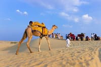 Jaisalmer-Desert-camel-Safari