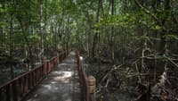 Kilim Geoforest Park