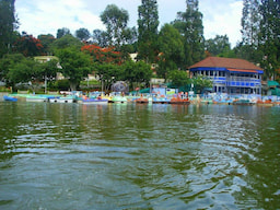 Kodaikanal Lake