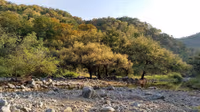 Kumbhalgarh Wildlife Sanctuary