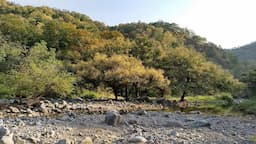 Kumbhalgarh Wildlife Sanctuary