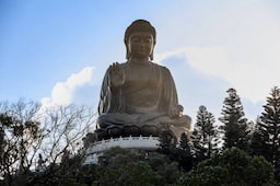 Lantau Island Half Day with Ngong Ping 360 Cable Car