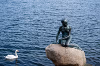 Little Mermaid Copenhagen