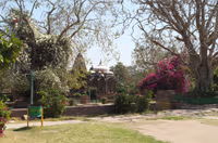 Mandore Gardens