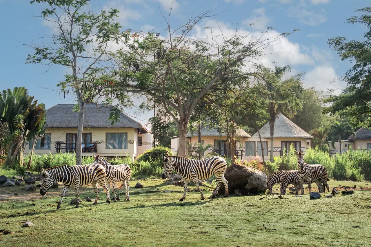 Bali Safari 2