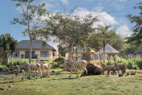 Bali Safari 2