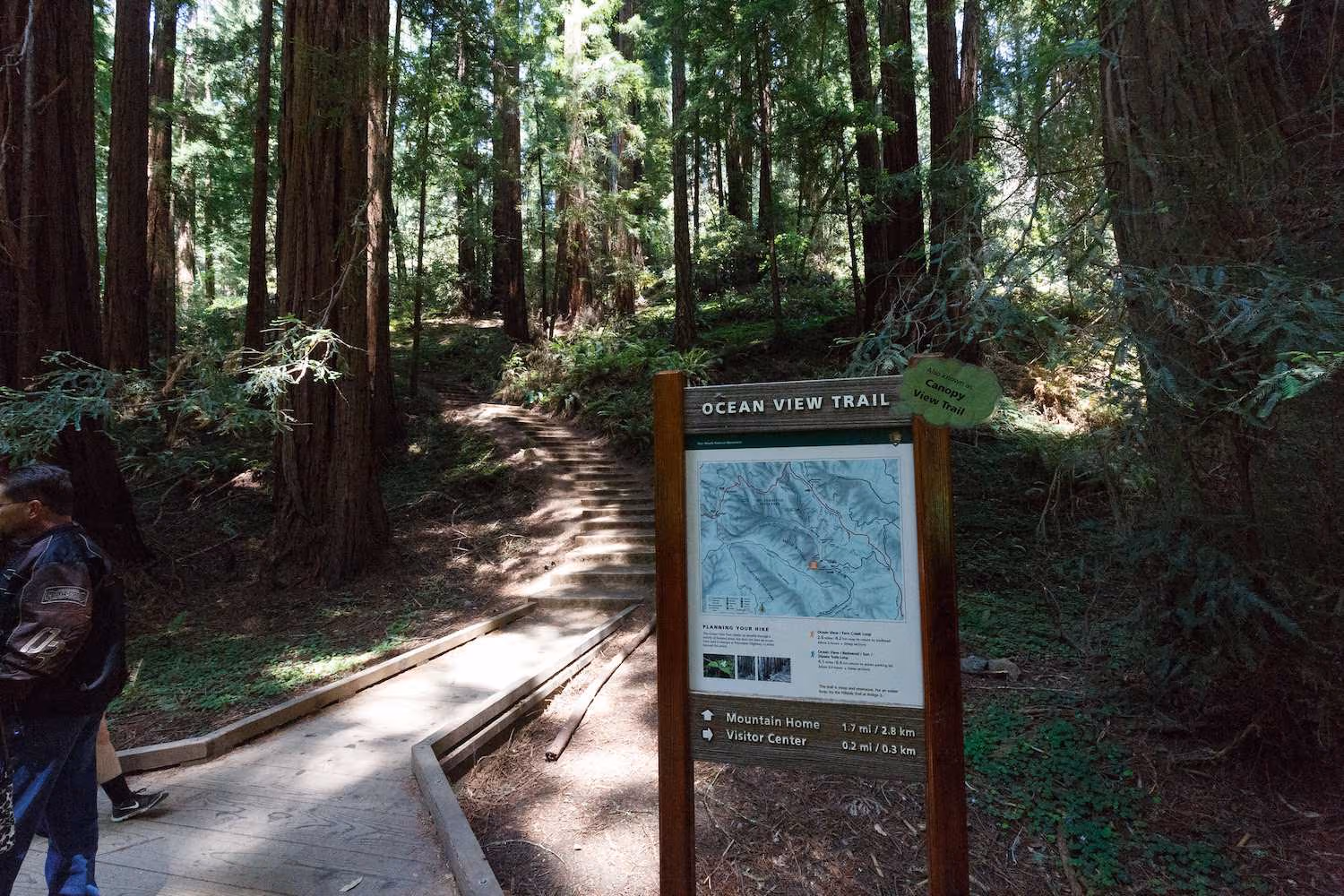 Muir Woods