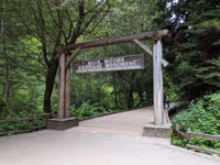 Muir Woods And Sausalitop