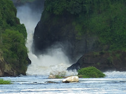 Murchison Falls National Park