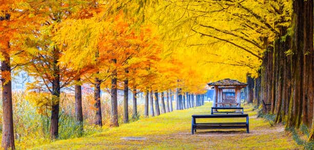 Nami Island
