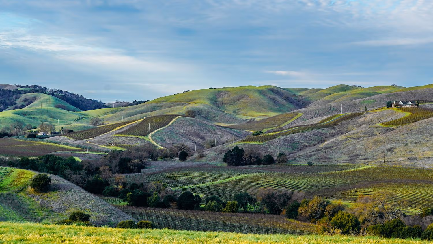 Napa