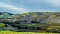 Napa