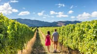 Napa and Sonoma Wine Country