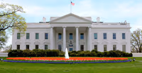Guided City tour of Washington D C