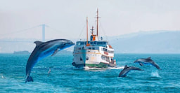 One Round Boat ride in Tezpur for dolphin Sighting