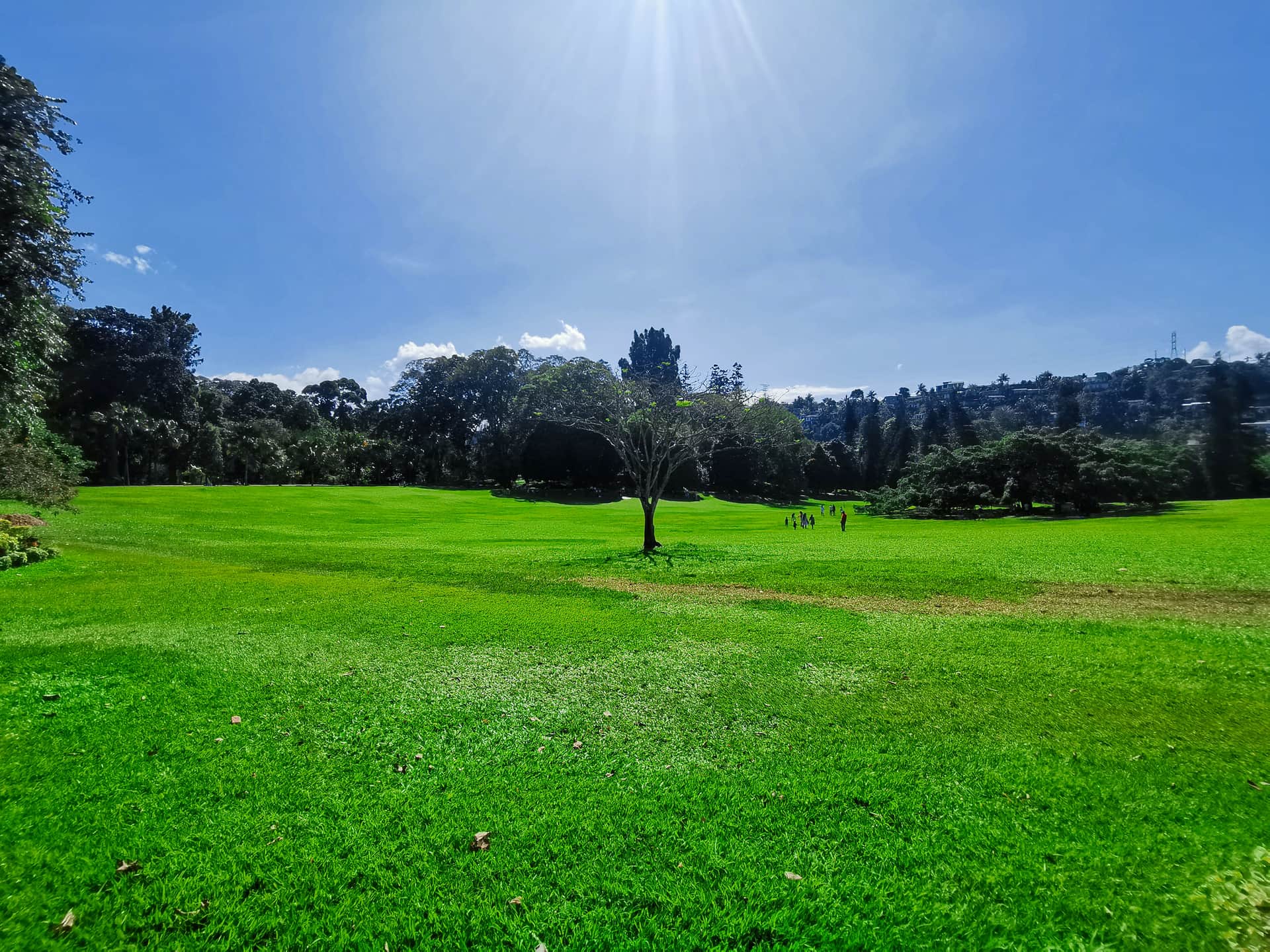 Peradeniya Botanical Garden 1
