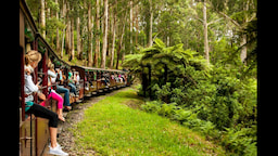 Puffing Billy Train Ride
