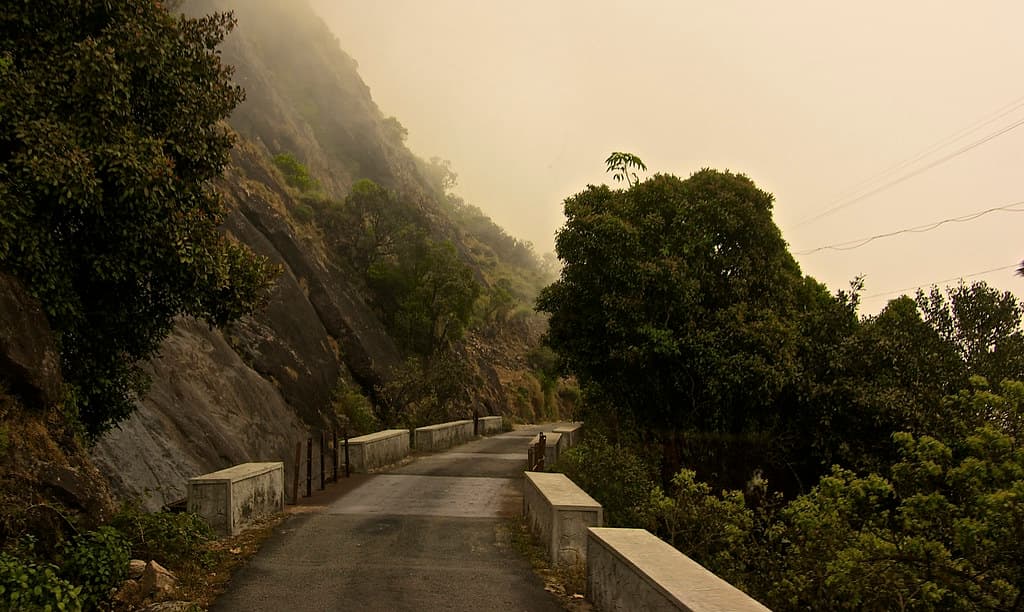 Rajamalai (Eravikulam) National Park
